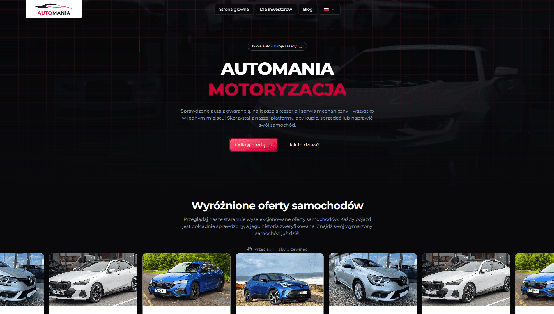 Zdjęcie strony projektu